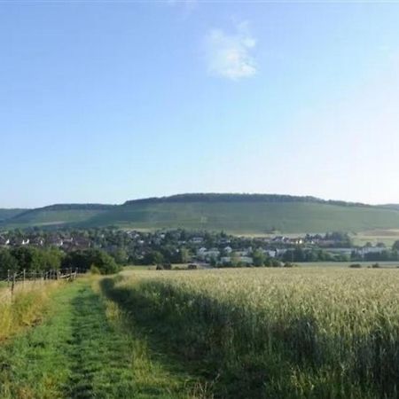 Landpension Wachtkopf Файгінген-ан-дер-Енц Екстер'єр фото