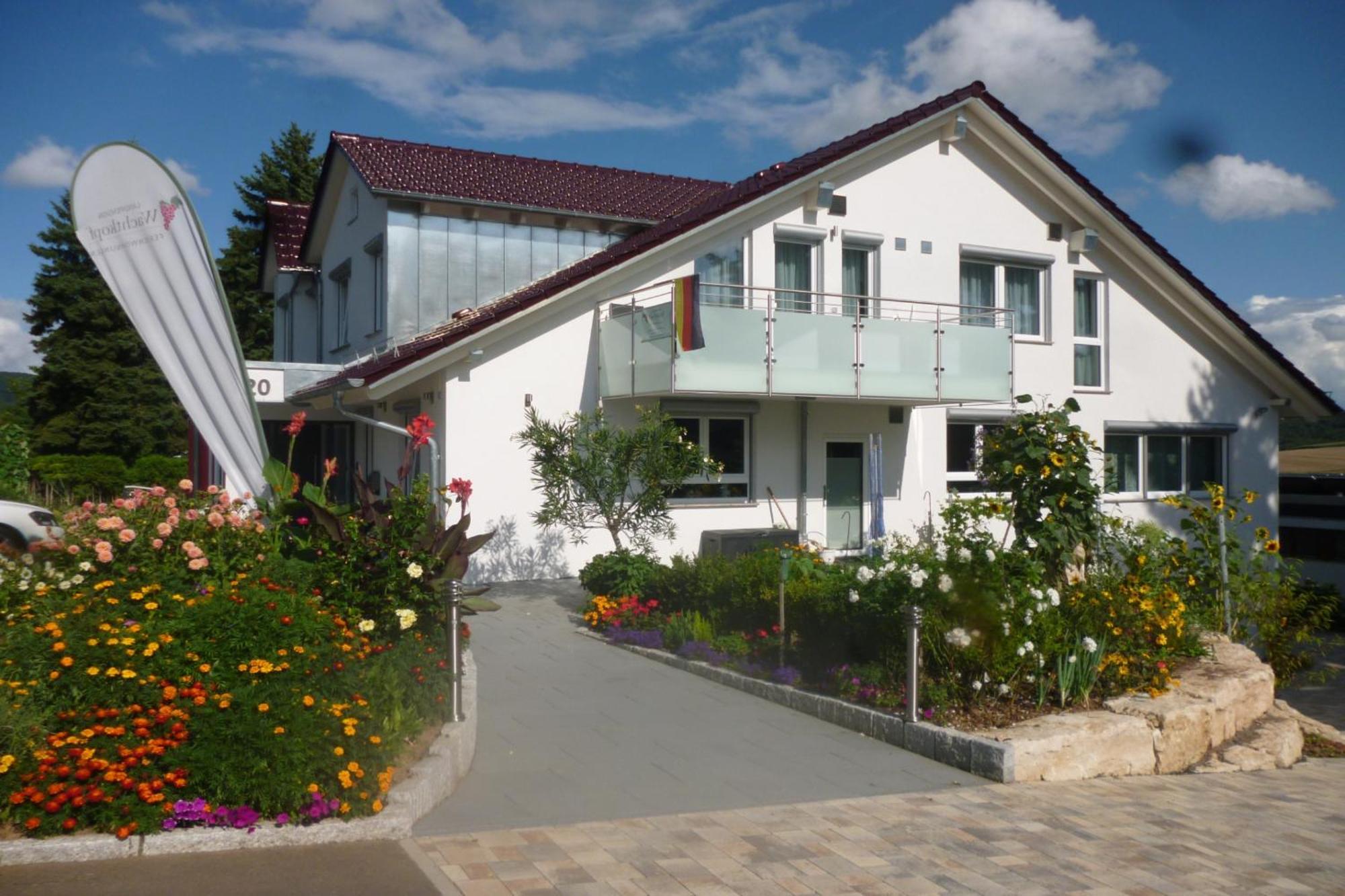 Landpension Wachtkopf Файгінген-ан-дер-Енц Екстер'єр фото