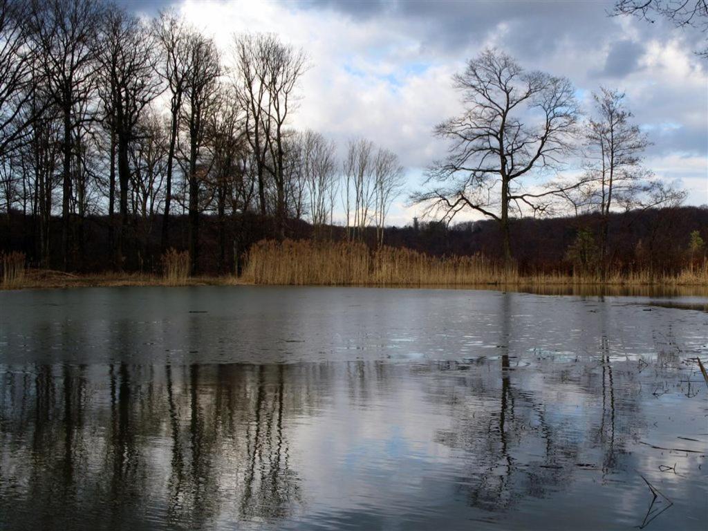 Landpension Wachtkopf Файгінген-ан-дер-Енц Екстер'єр фото